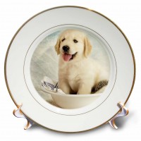 3dRose Cute Golden Retriever Puppy Spa Day Art photo courtesy Badestboss., Porcelain Plate, 8-inch   555458745